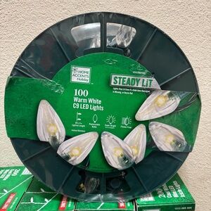 Home Accents Holiday 100 Ct Warm White Steady Lit Super Bright Smooth Led lights